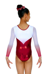 Vogue Long Sleeved Gymnastics Leotard with Ombre Mesh